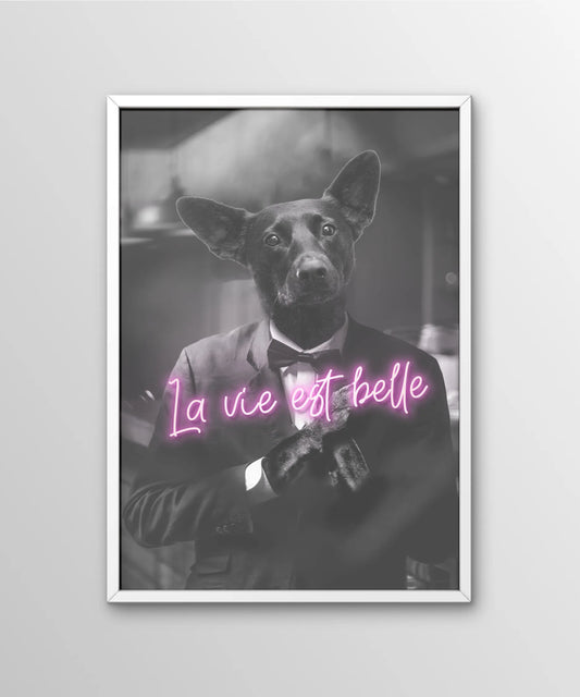 Elegance in Simplicity