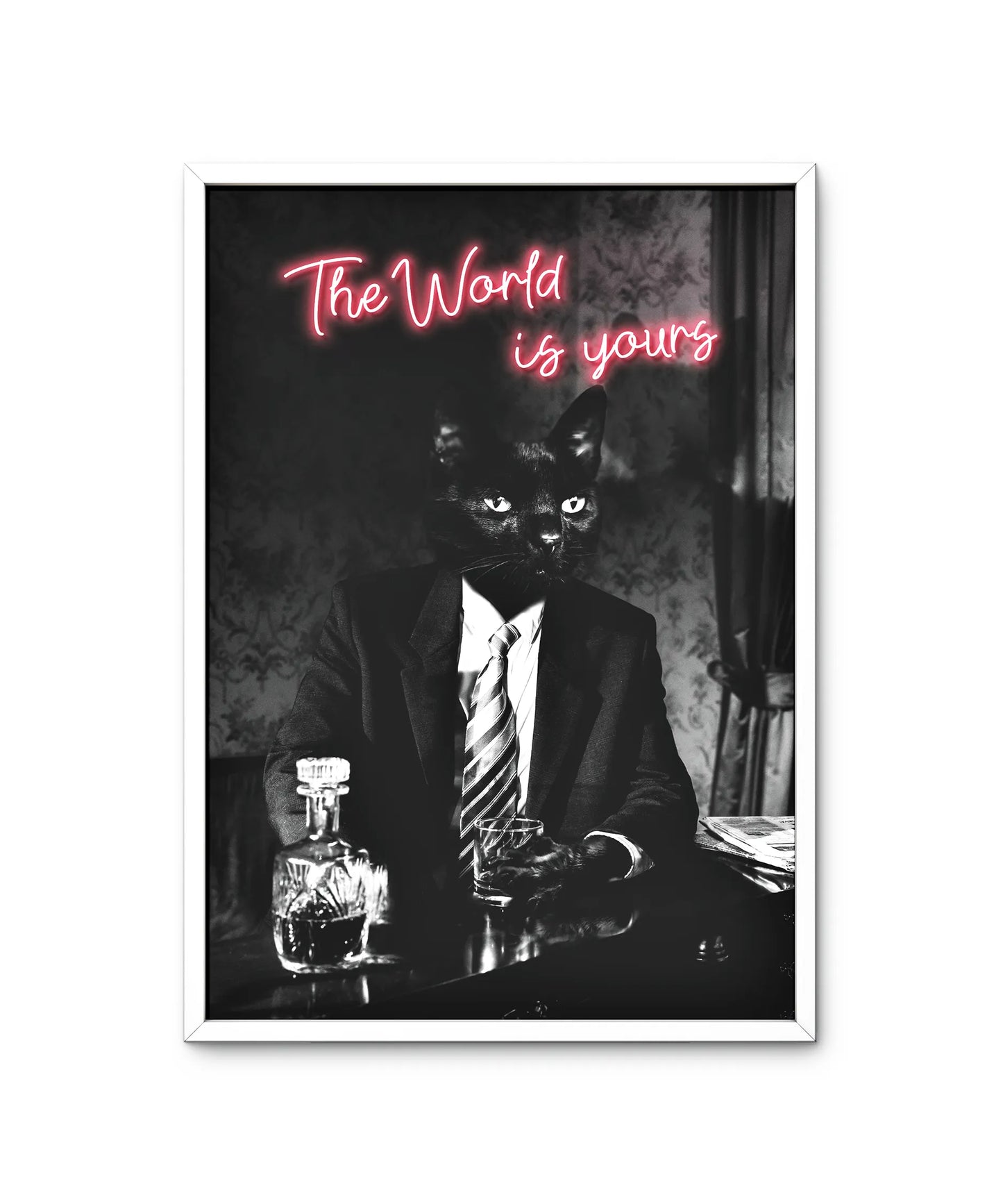 A Cat's World
