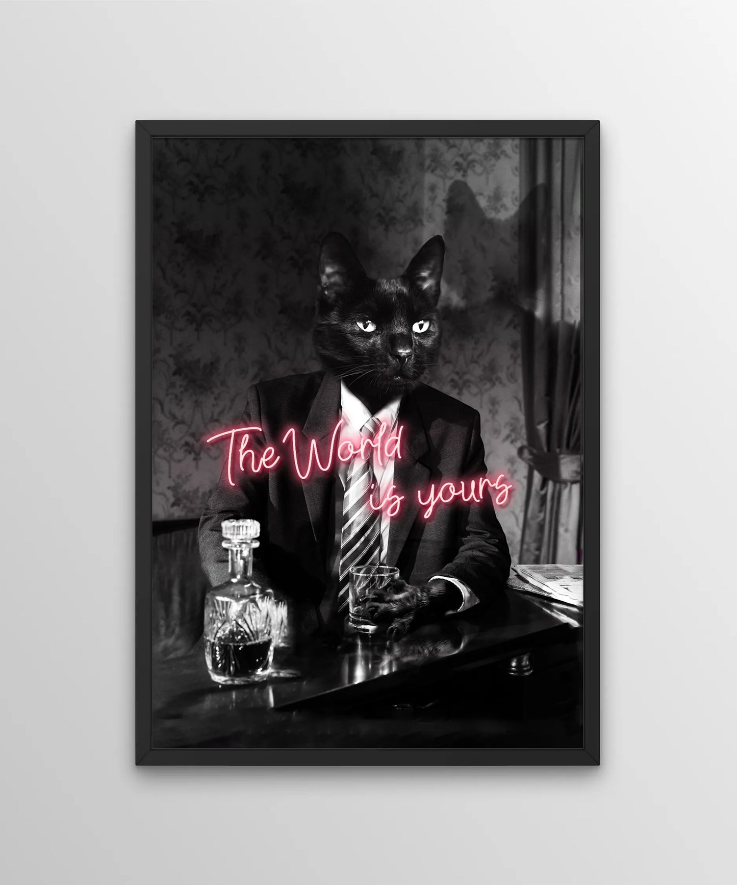 A Cat's World
