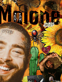 Hollywood’s Sunflower