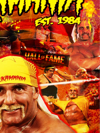 Hulkamania
