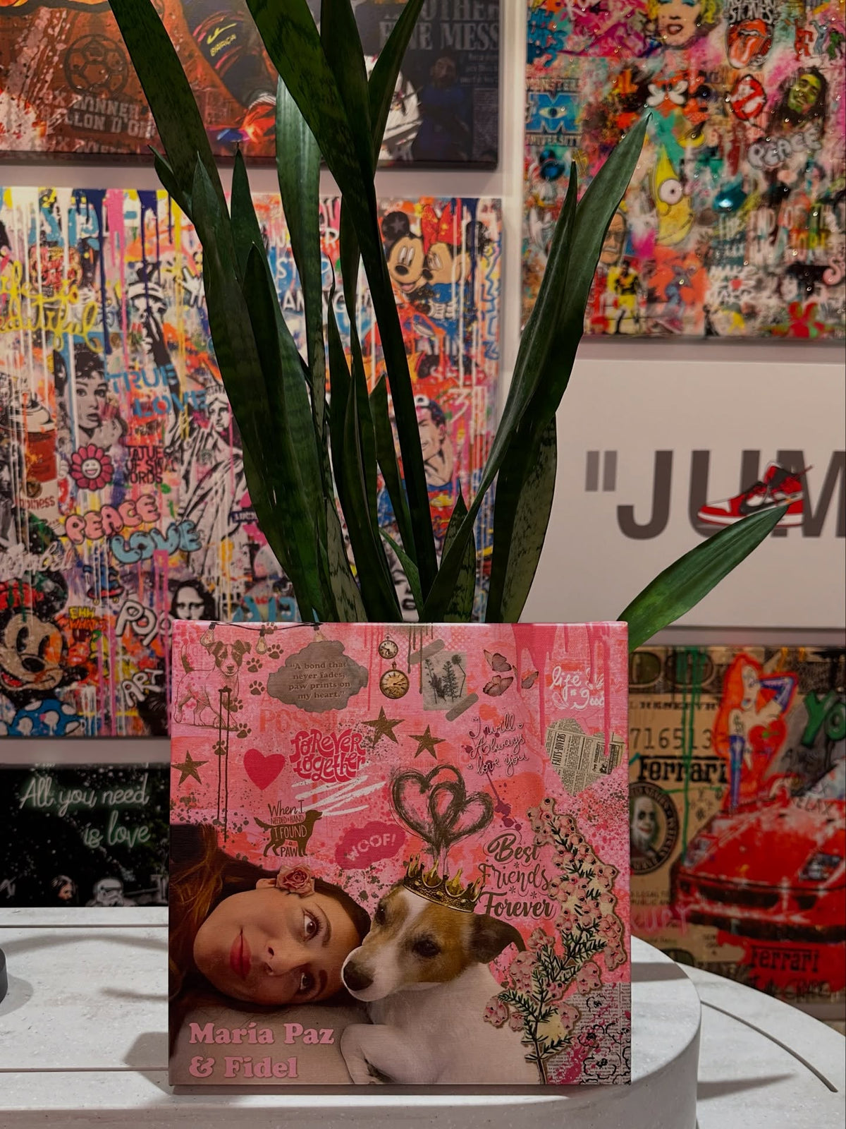 Personalized pet and owner collage canvas on a store counter