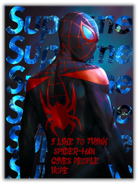 The Web Super Hero